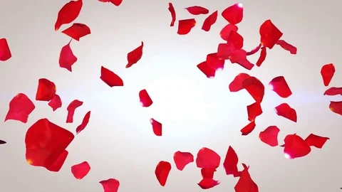 Petals of red roses falling down in an a, Stock Video