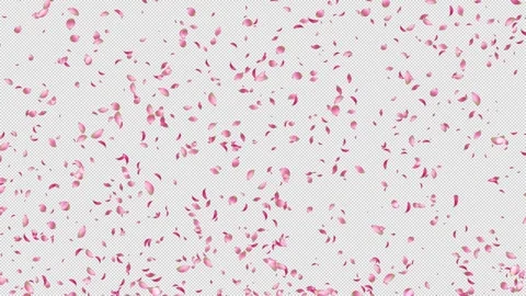 Petals Rising Alpha - High Quality Stock Footage Stock Footage 310749233