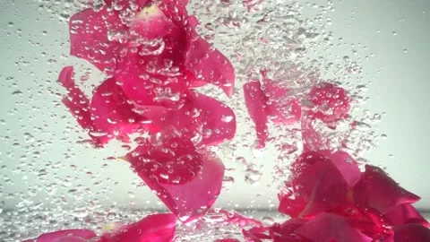 	Petals of roses fall in water. Background. Slow motion.	 Stock-Footage 109062971
