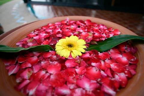 Petals for spa Fotos Stock