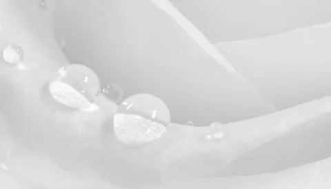 Petals of white rose Stock Illustration