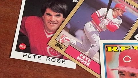 Pete Rose Baseball Cards - Cincinnati Reds - Bettendorf, IA - October 1, 2024 Stock Footage 286221612