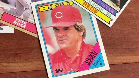 Pete Rose Baseball Cards - Cincinnati Reds - CU - Bettendorf, IA - Oct. 1, 2024 Stock Footage 286223071