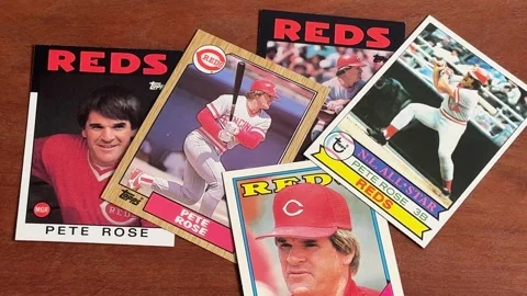 Pete Rose Baseball Cards - Cincinnati Reds - Bettendorf, IA - October 1, 2024 Stock Footage 286245142