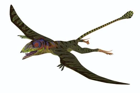 Peteinosaurus Pterosaur Stock Illustration
