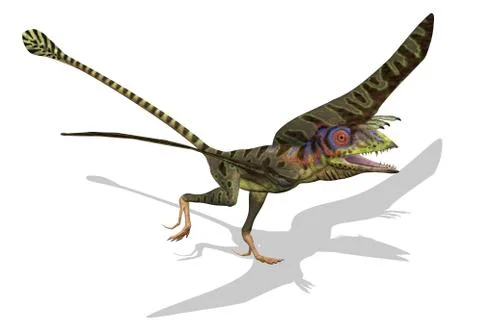 Peteinosaurus Ready to Fly Stock Illustration