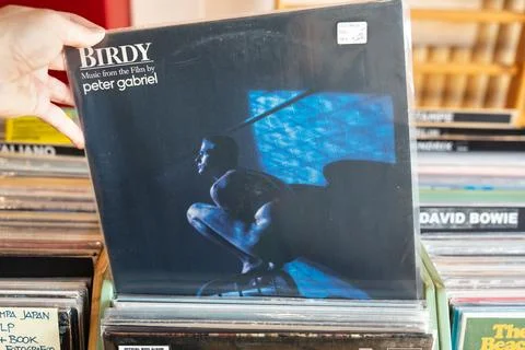 Peter Gabriel Stock Photos