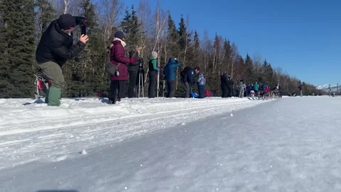 Peter Kaiser Bib 26 Stock-Footage 266904510