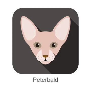 Peterbald Cat, Cat breed face cartoon flat icon design Stock Illustration
