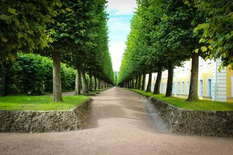 Peterhof Gardens Stock Photos