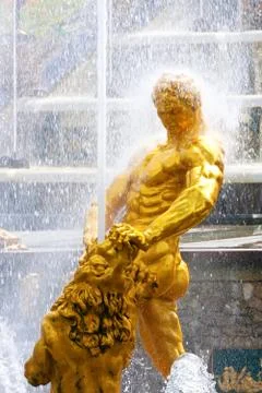 Peterhof Stock Photos