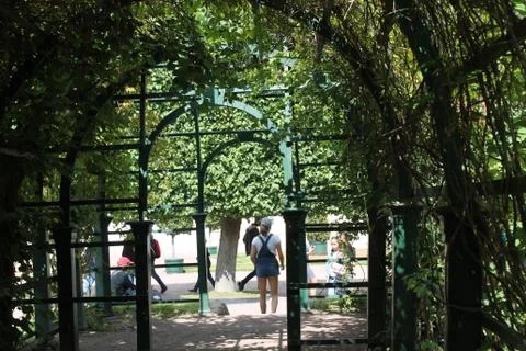 Peterhof Stock Photos