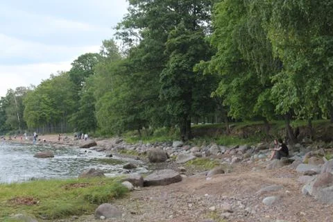 Peterhof Stock Photos