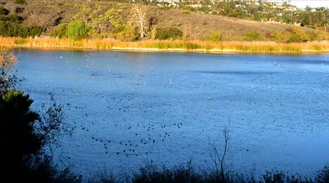 Peters pond Stock Footage 44513814