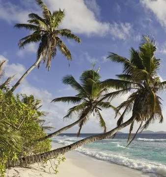 Petit Anse Beach on La Digue Island, Seychelles, Tropical Paradise Stockfoto's