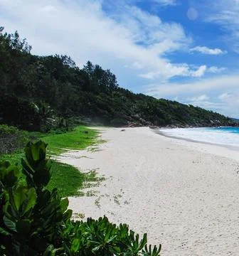 Petit Anse Beach on La Digue Island, Seychelles, Tropical Paradise 写真素材