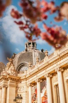 Petit Palais facade Stock Photos