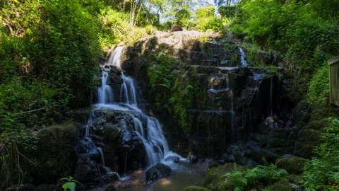 Petite cascade Mortain 動画素材 197954465