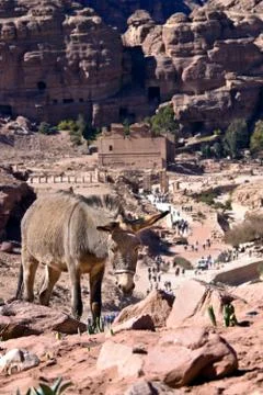 Petra - Jordan Stock Photos