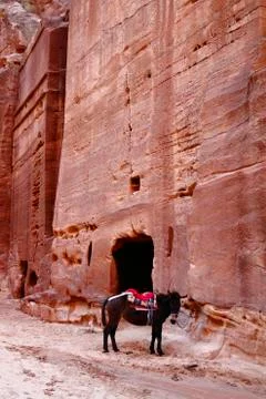 Petra Stock Photos