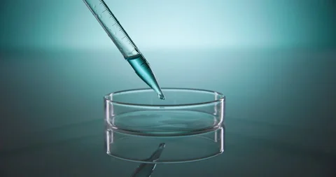 Petri Dish 01 Stock Footage 169125536