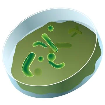 Petri dish of bacteria Stock Illustration