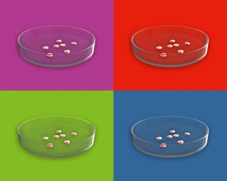 Petri Dish with Bacteria Stock Illustration