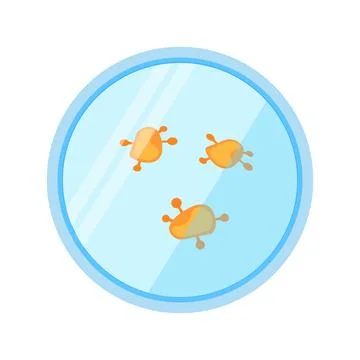 Petri dish bacteria sample laboratory vector icon illustration isolated white Ilustración de archivo