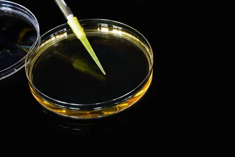Petri dish black background Foto stock