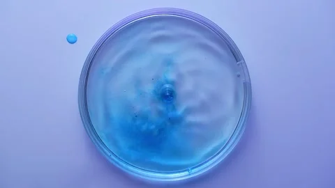Petri dish with blue liquid diffusion in laboratory top view Stock Footage 327198669