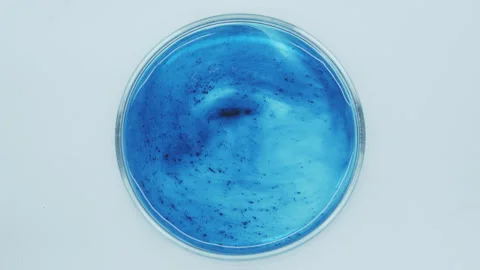 Petri dish with blue liquid Stock Footage 242803978