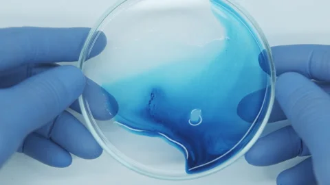 Petri dish with blue liquid Stock Footage 242804054