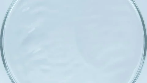 Petri dish with clear water. Stock Footage 238843395