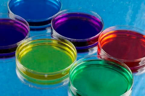 Petri dish closeup Photos