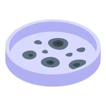 Petri dish containing microbial colonies growing in culture medium Stock Illustration