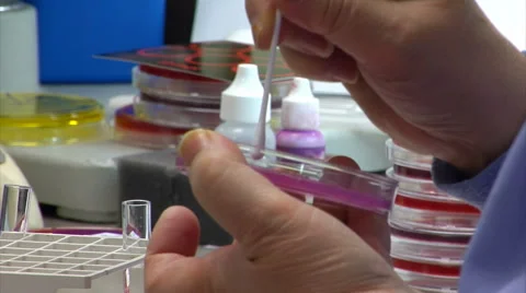 Petri Dish 動画素材 64822949