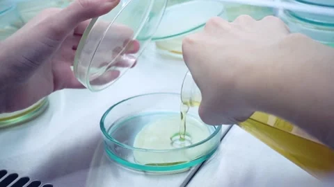 Petri dish with a liquid Stock Footage 102577859
