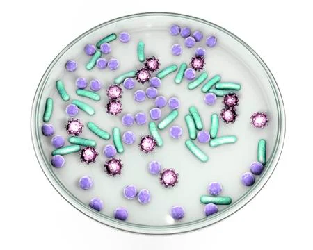 Petri dish with microbes Illustrazione stock