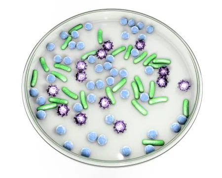 Petri dish with microbes Illustrazione stock
