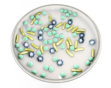 Petri dish with microbes Illustrazione stock