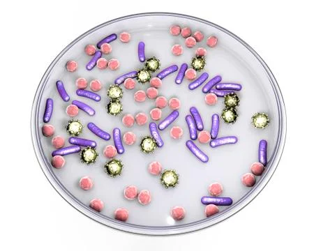 Petri dish with microbes Illustrazione stock