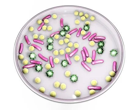 Petri dish with microbes Illustrazione stock