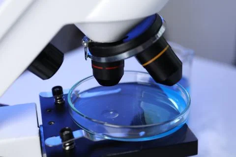 Petri dish on microscope in laboratory, closeup Stock Photos