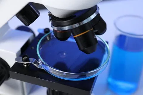 Petri dish on microscope in laboratory, closeup Stock Photos