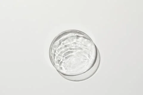 Petri dish with nice ripple 2 in grey background Stock Photos