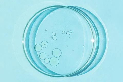 Petri dish. Petri's cup with liquid. Chemical elements, oil, cosmetics. Gel,  Stock Photos