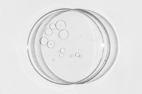 Petri dish. Petri's cup with liquid. Chemical elements, oil, cosmetics. Gel,  Stock Photos