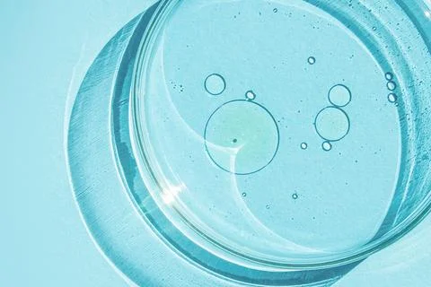 Petri dish. Petri's cup with liquid. Chemical elements, oil, cosmetics. Gel,  Stock Photos