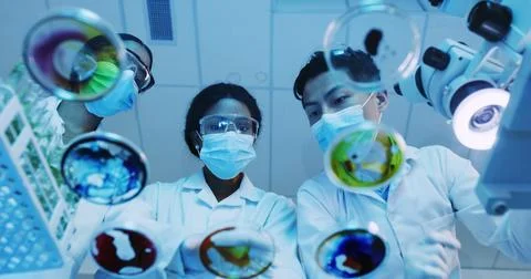 Petri dish, sample and science with people in laboratory for biology or res.. Stock Photos