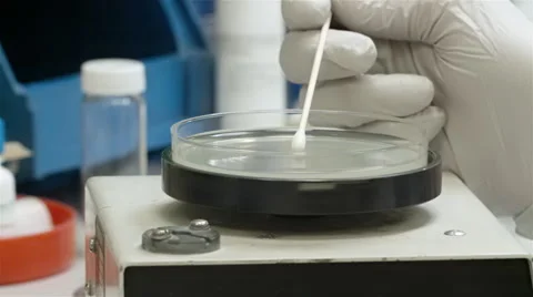 Petri dish spinner with specimen sample and q tip Vídeos de archivo 49081374